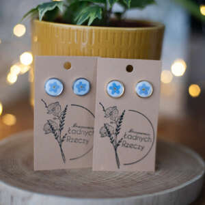 Sztyfty na bazie ze stali chirurgicznej „DANUSIA”